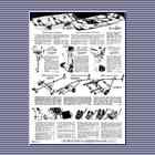 Catalog Page F1964, p. 884 boats. Fall 1964 884